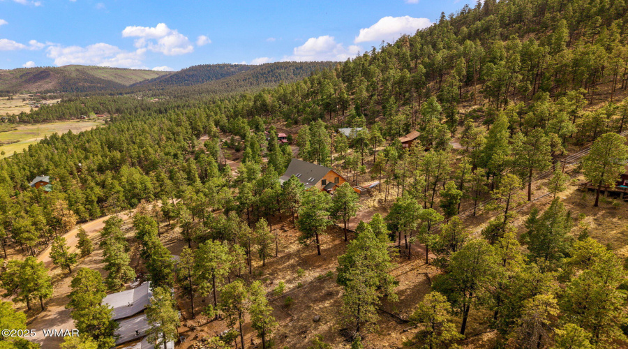 4N1023-Greer-AZ-61