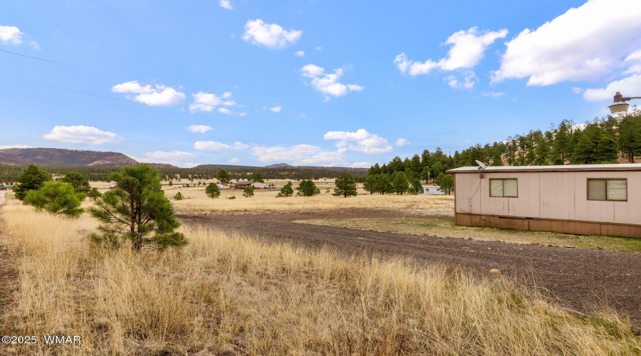 4CR2110-Alpine-AZ-19