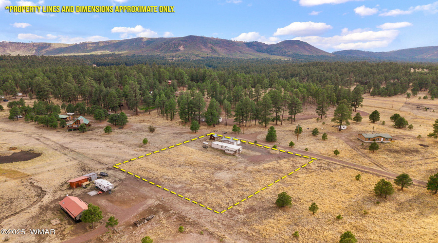 4CR2110-Alpine-AZ-31