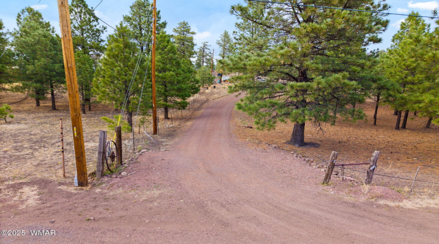 9N2144-Alpine-AZ-2