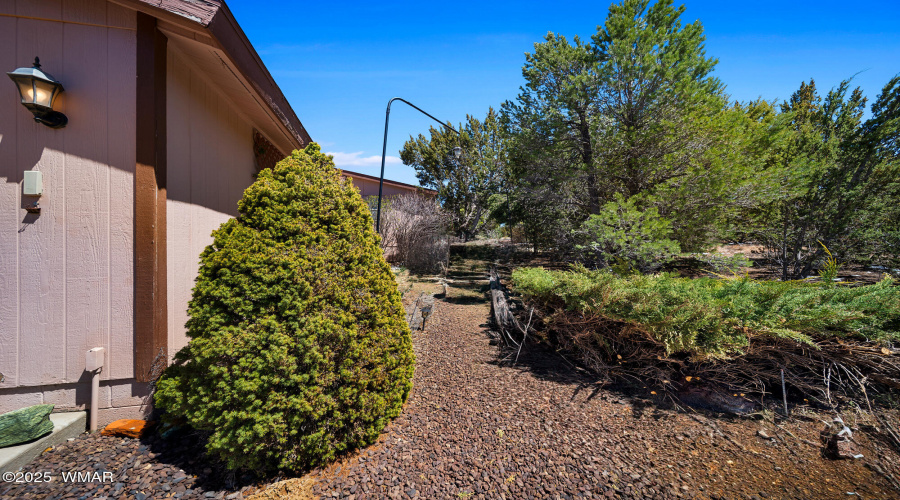 Path to Front from Garage