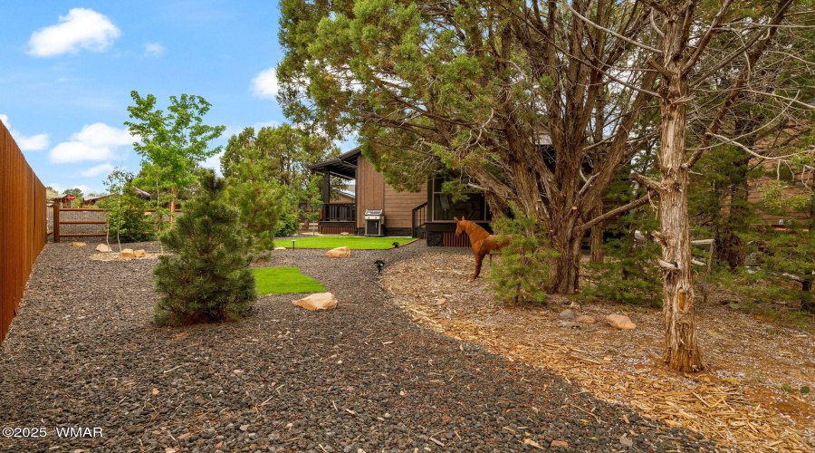 2051NBisonCt-ShowLow-AZ-26