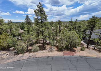 DJI_20250609124513_0459_D