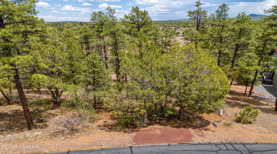DJI_20250609124459_0454_D_AuroraHDR2019-