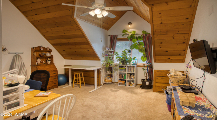 Paxmanphoto_PAX_1253