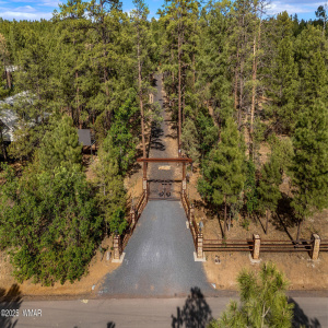 Custom Driveway Gate