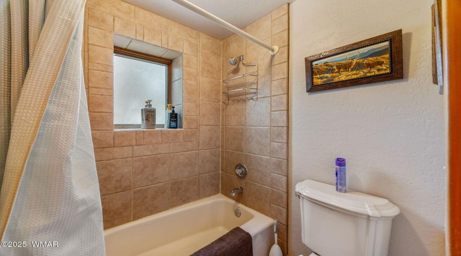 Guest Tub/Shower