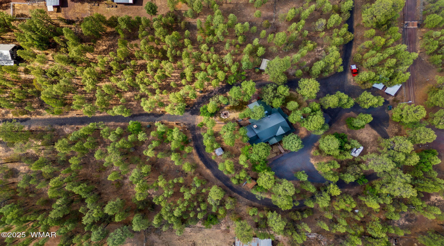 Drone Top