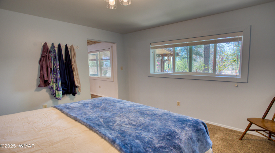 Paxmanphoto_PAX_1450