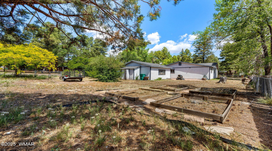 1461WOliver-ShowLow-AZ-26