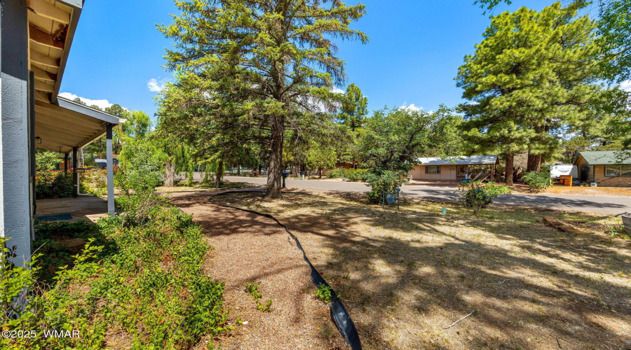 1461WOliver-ShowLow-AZ-4