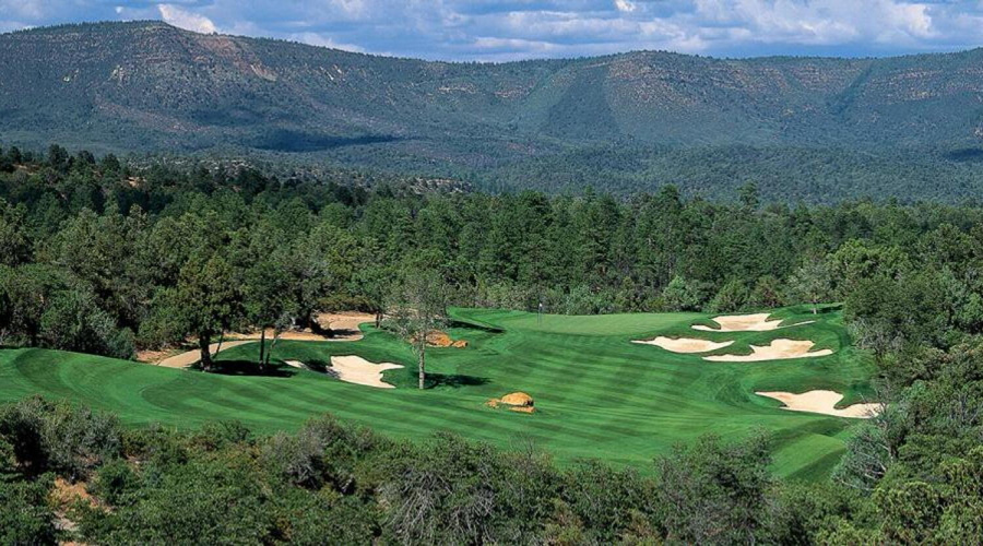 CP GC #3