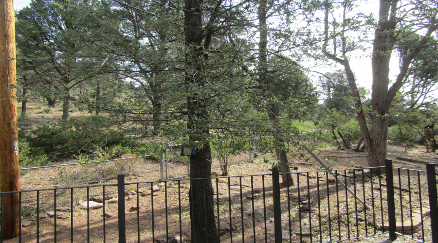 Natl Forest