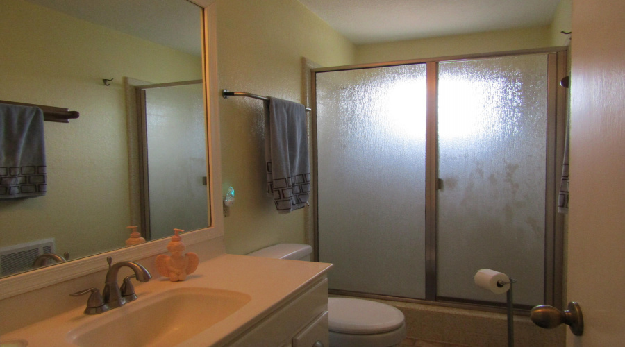 Hall bath