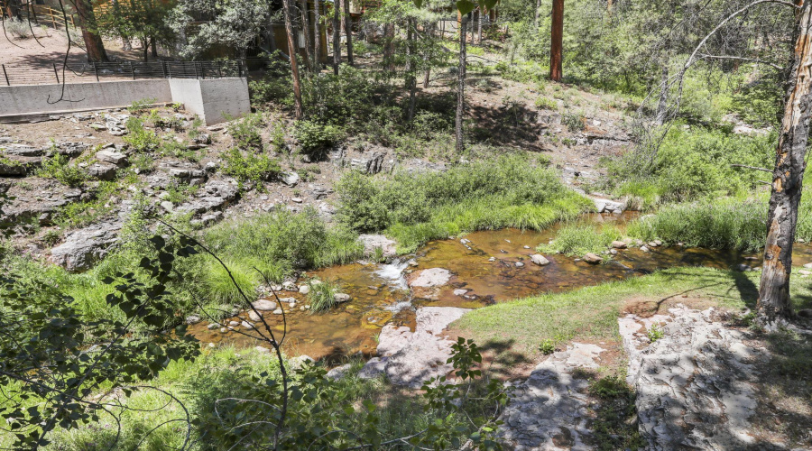 Creekside view