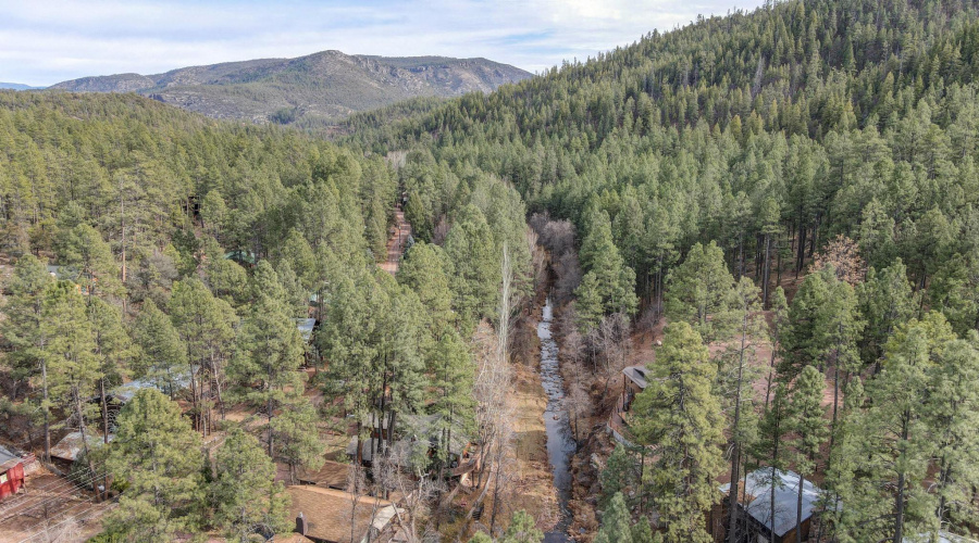 Aerial Creek View