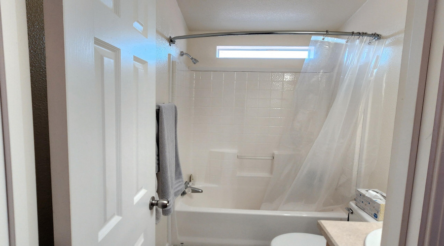 Hall Bathroom
