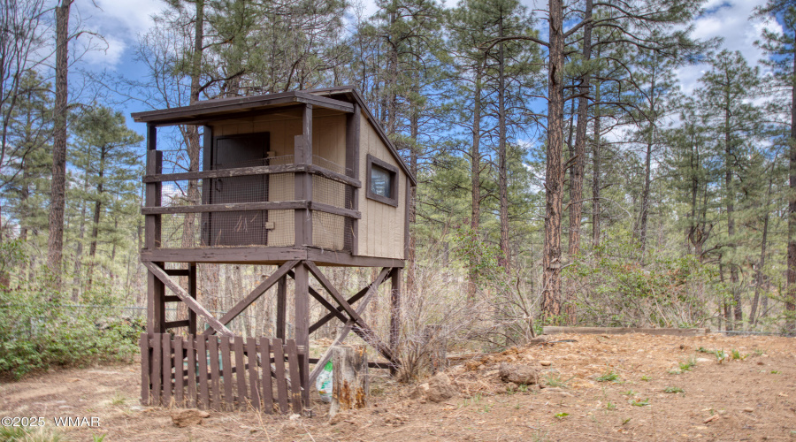 Treehouse