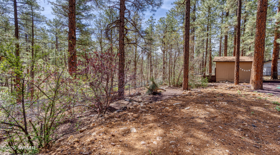 Back of Property