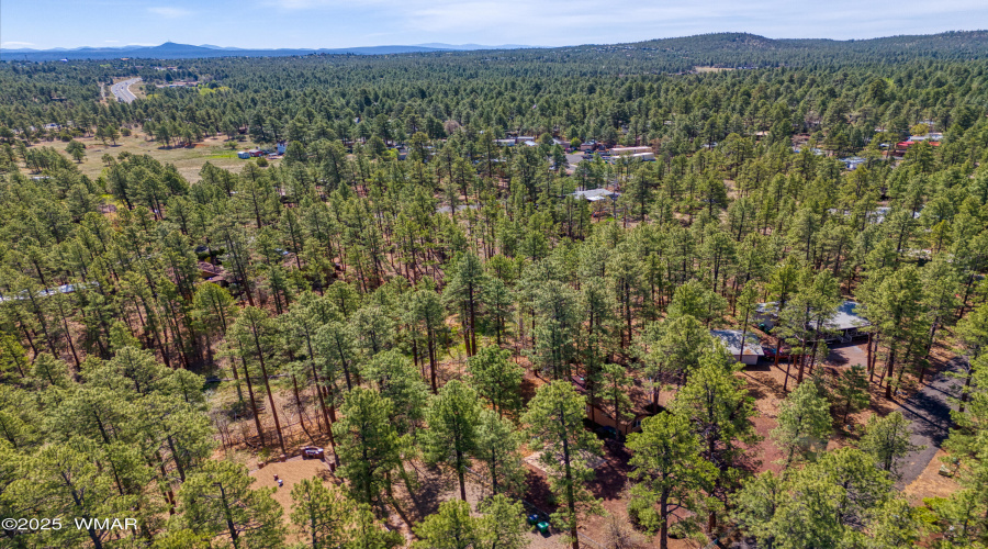 Drone View