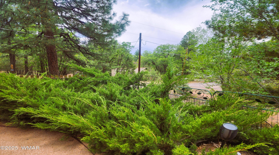 Parkinson - Front Yard 1