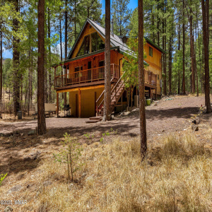 70CountyRd2266-Alpine-AZ-1