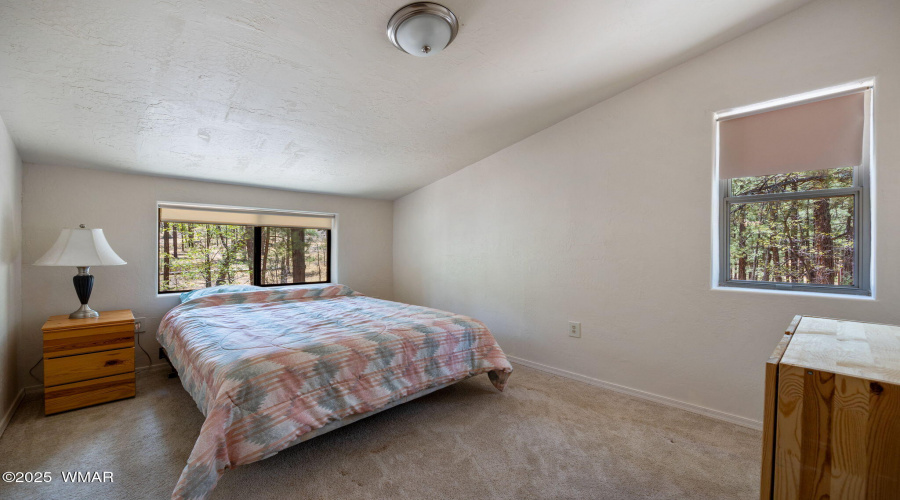 70CountyRd2266-Alpine-AZ-23