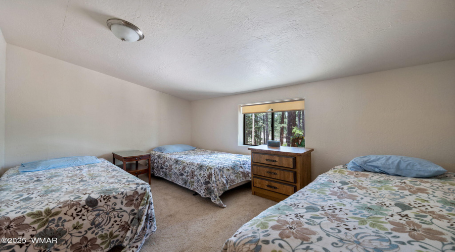 70CountyRd2266-Alpine-AZ-26