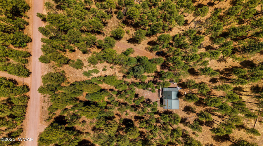 70CountyRd2266-Alpine-AZ-32