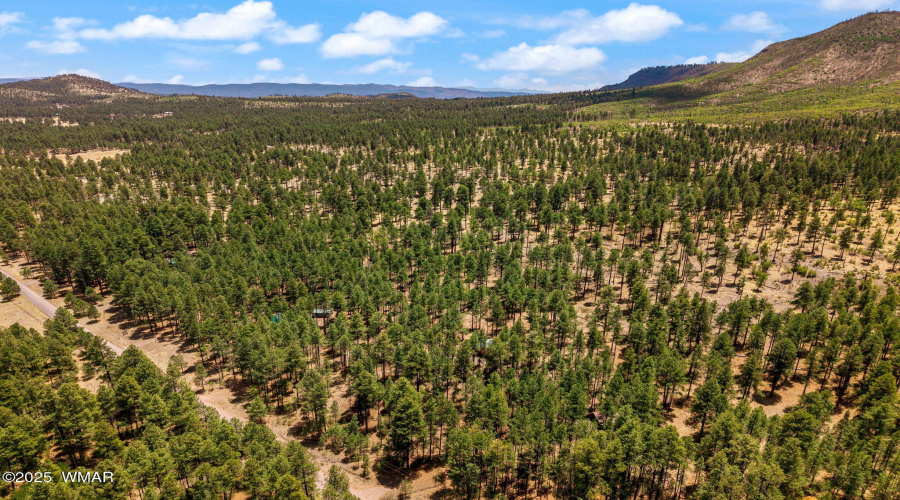 70CountyRd2266-Alpine-AZ-33