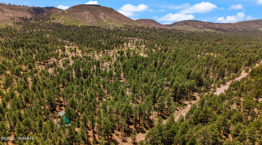 70CountyRd2266-Alpine-AZ-35