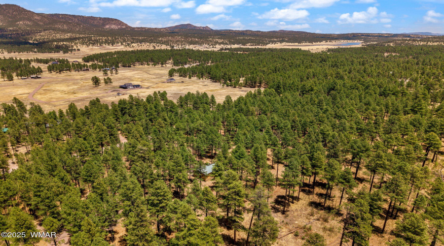 70CountyRd2266-Alpine-AZ-36