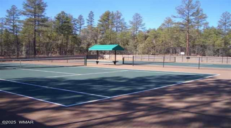 Tennis and Pickle ball courts - Copy (2)