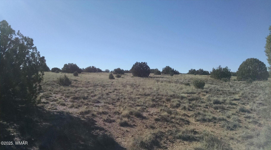 Concho 3