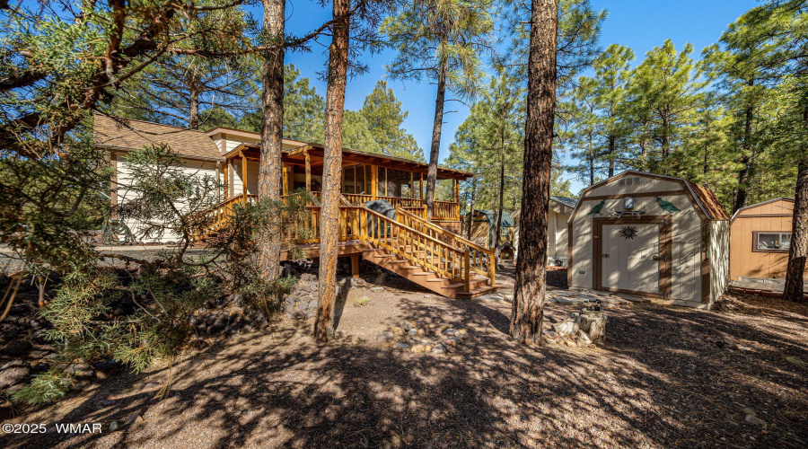 Side Yard