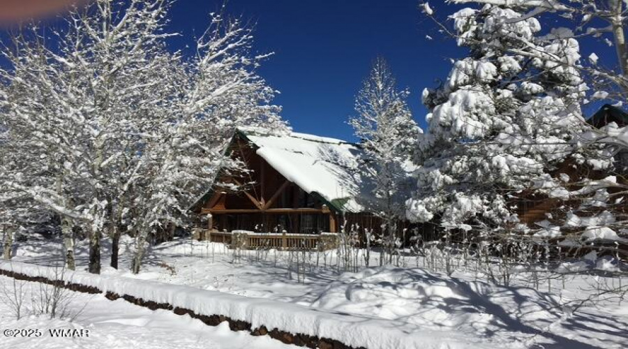 Snow Pic