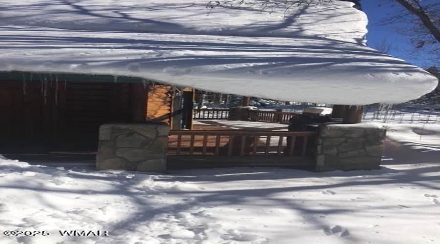 Snow Pic 1