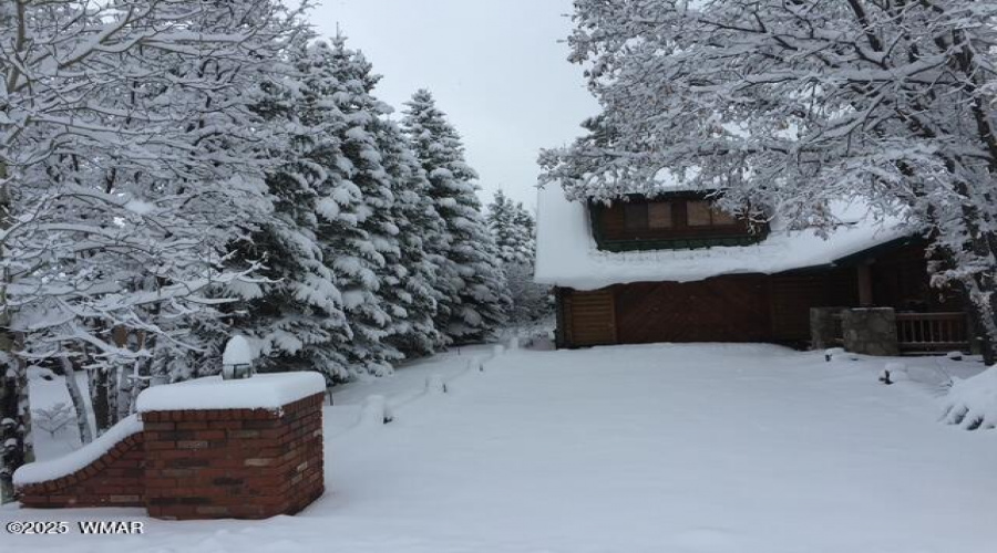 Snow Pic 2