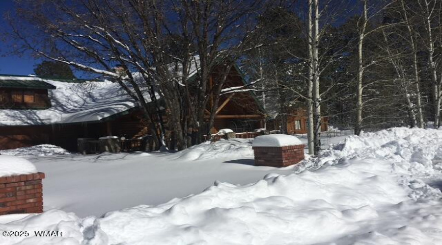 Snow Pic 4
