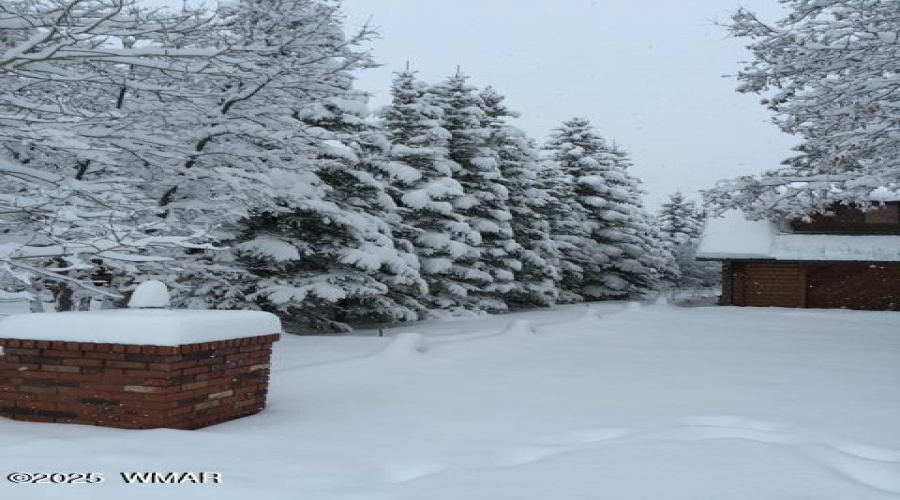 Snow Pic 5