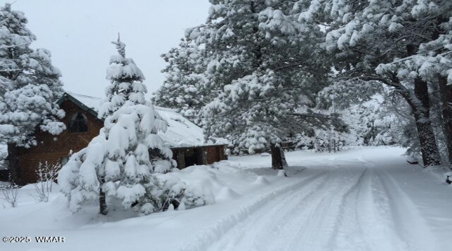 Snow Pic 6