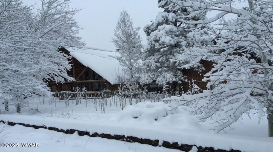 Snow Pic 7
