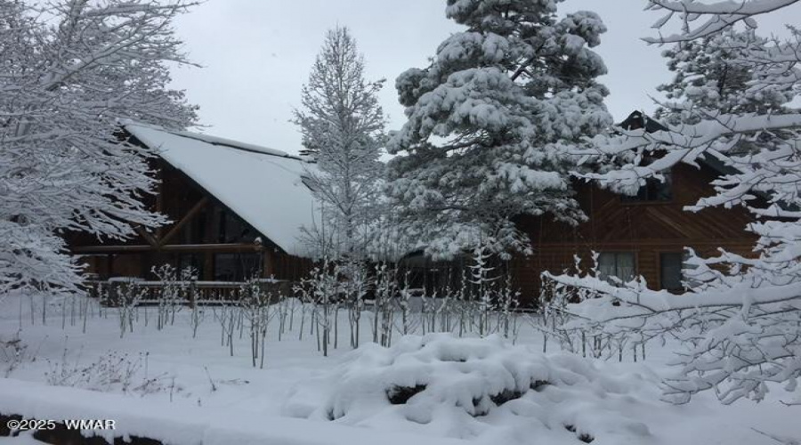Snow Pic 8