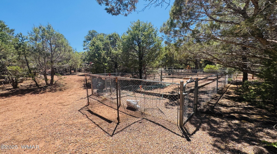 Garden Area