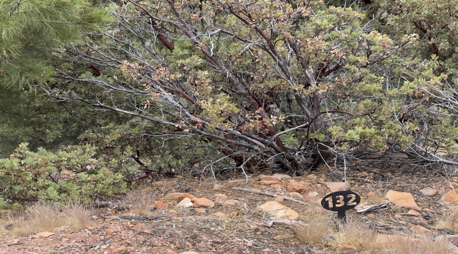 132 N Knob Hill - lot 132