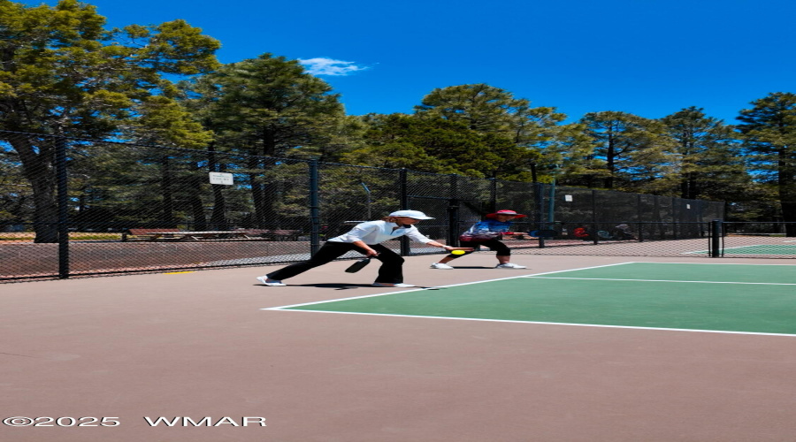 pickleball2.00_00_18_54.Still001