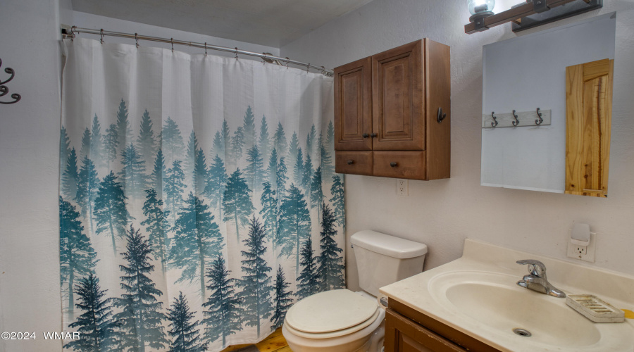 Full Guest Bath
