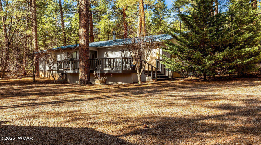 Backyard and porch