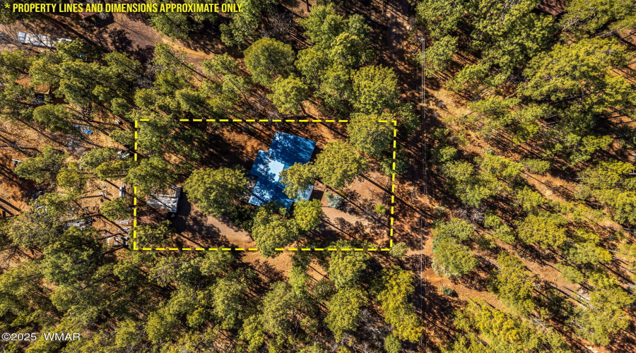 Overhead View