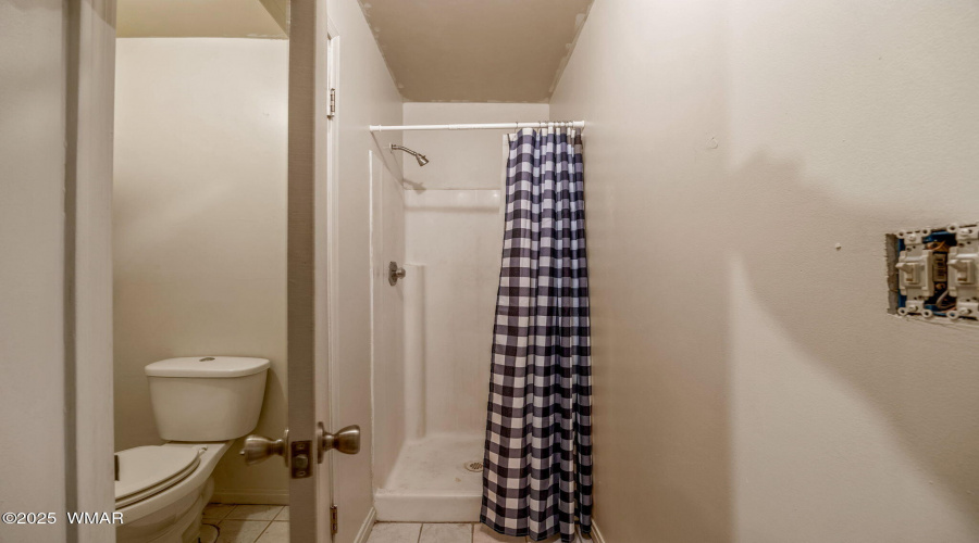Master Bathroom Shower